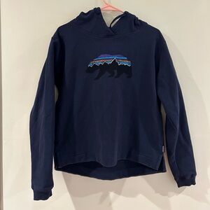 Patagonia sweatshirt